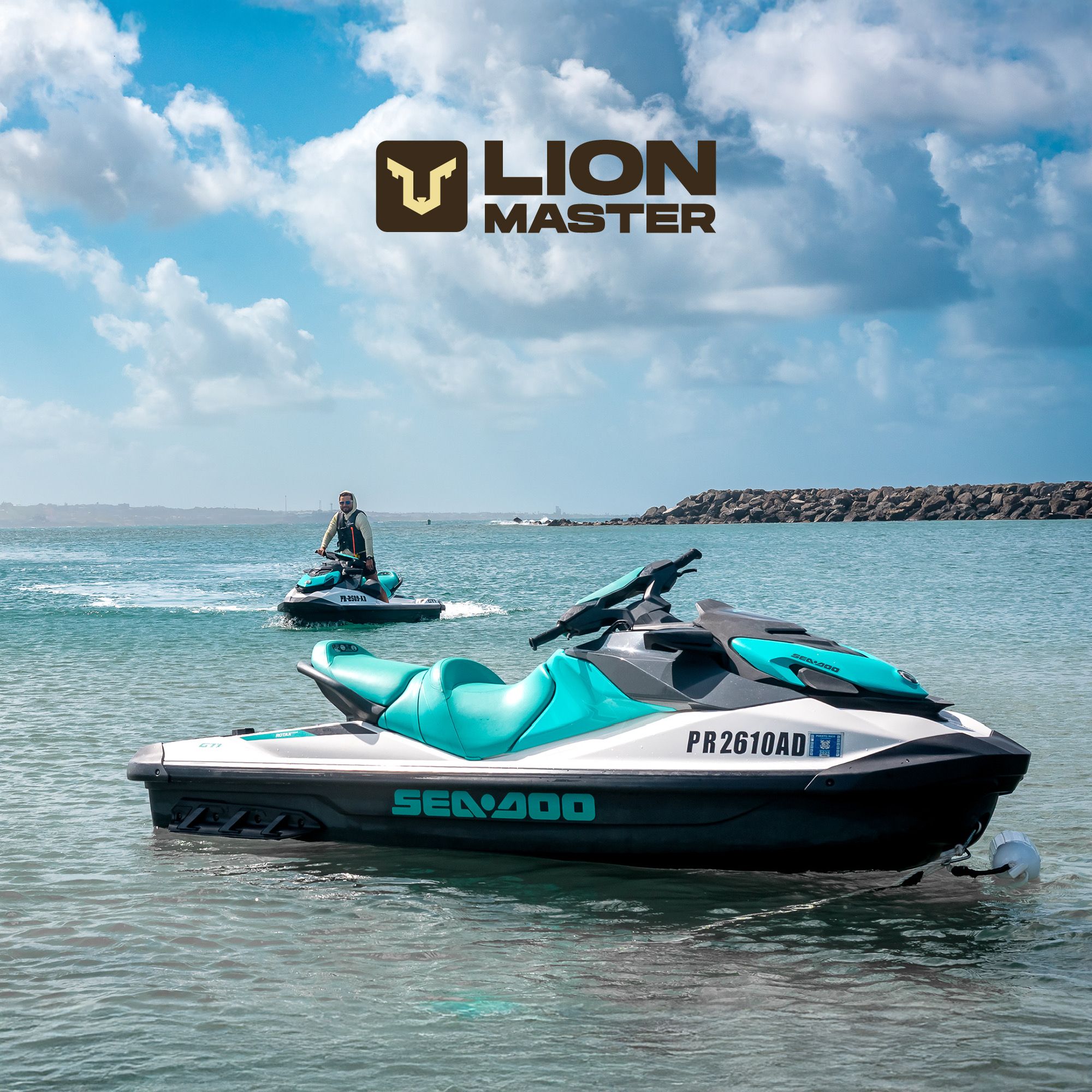 Logo de LION MASTER